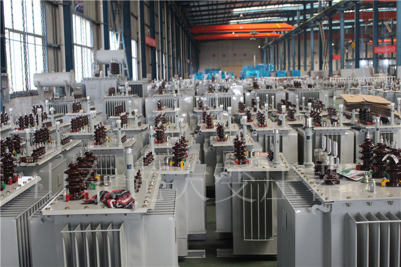 沙湾S22-800KVA/10KV